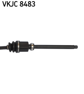 VKJC 8483_3