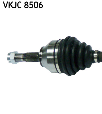VKJC 8506_2