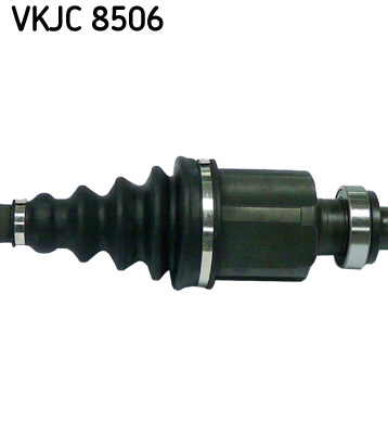 VKJC 8506_3