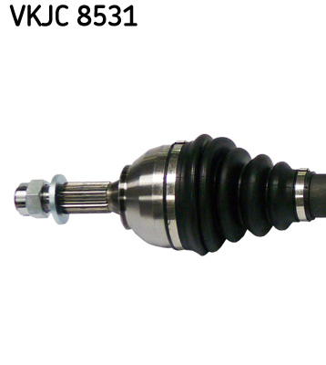VKJC 8531_2