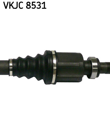 VKJC 8531_3
