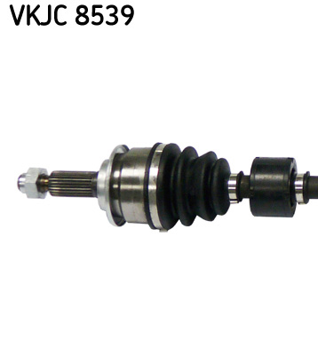 VKJC 8539_2