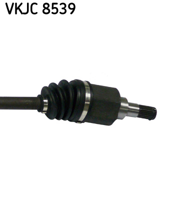 VKJC 8539_3