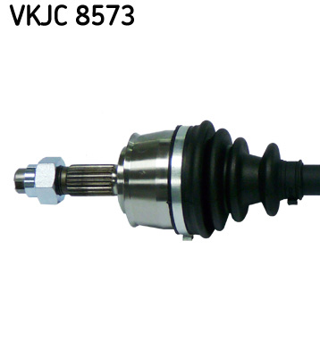VKJC 8573_2
