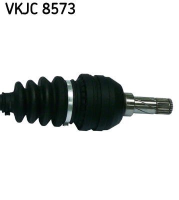 VKJC 8573_3