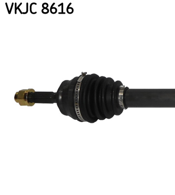 VKJC 8616_2