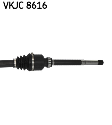 VKJC 8616_3