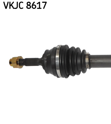VKJC 8617_2