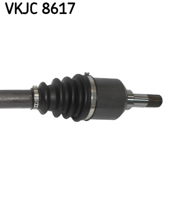 VKJC 8617_3