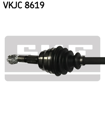 VKJC 8619_2