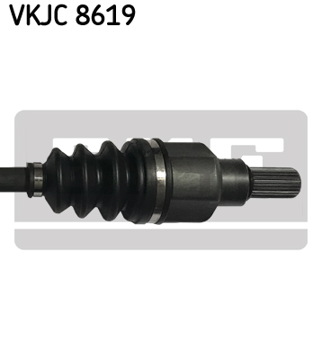 VKJC 8619_3