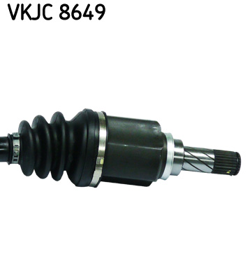 VKJC 8649_3