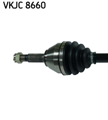 VKJC 8660_2