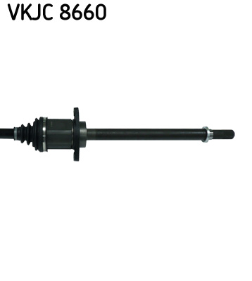 VKJC 8660_3