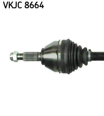 VKJC 8664_2