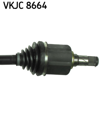 VKJC 8664_3