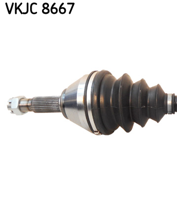VKJC 8667_2