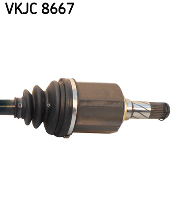 VKJC 8667_3