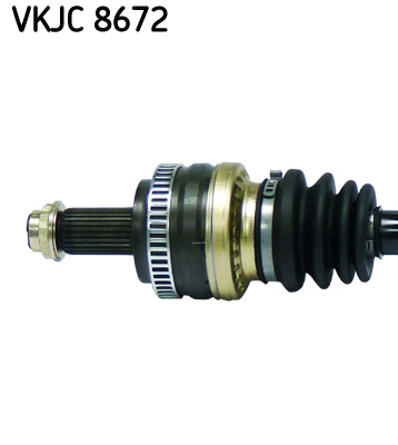 VKJC 8672_2