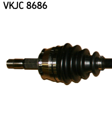 VKJC 8686_2
