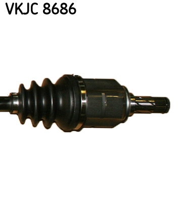 VKJC 8686_3