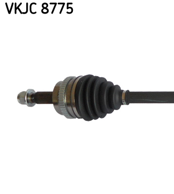 VKJC 8775_2
