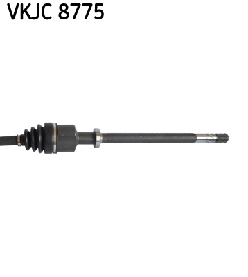 VKJC 8775_3