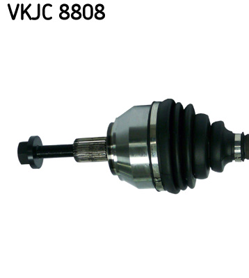 VKJC 8808_2