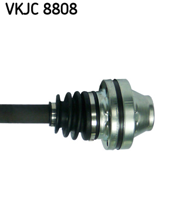 VKJC 8808_3