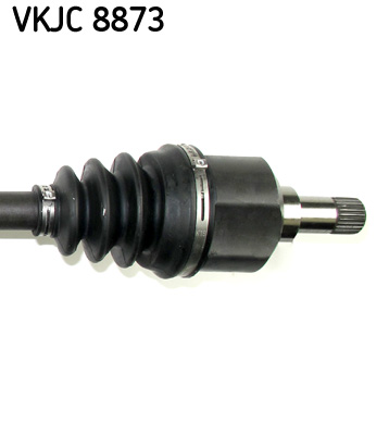 VKJC 8873_3
