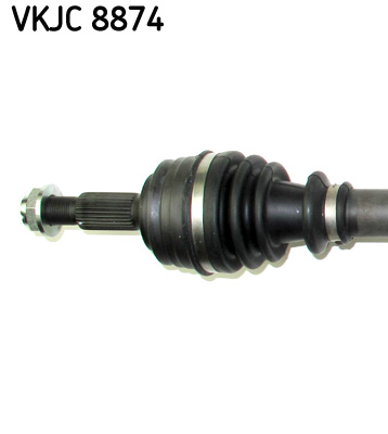 VKJC 8874_2