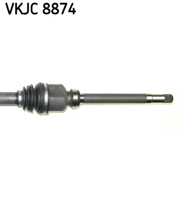 VKJC 8874_3