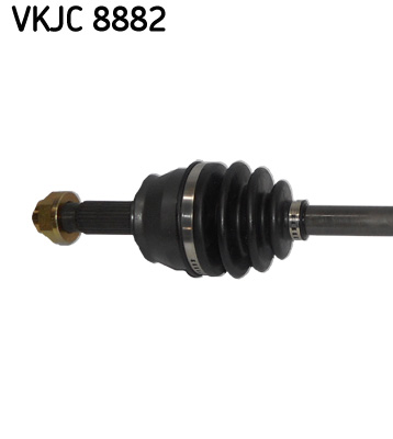 VKJC 8882_2