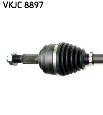 VKJC 8897_2