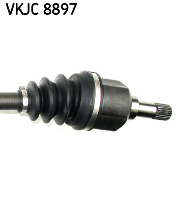 VKJC 8897_3