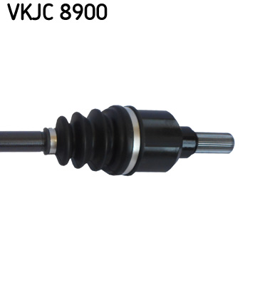 VKJC 8900_3