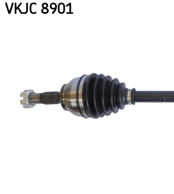 VKJC 8901_2