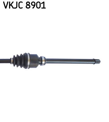 VKJC 8901_3