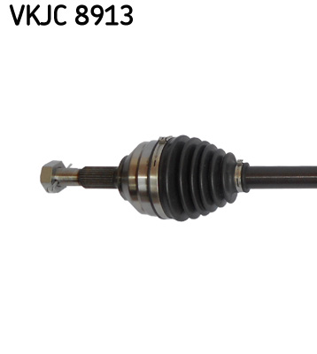 VKJC 8913_2