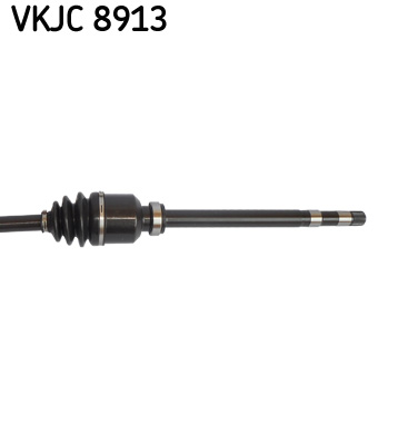 VKJC 8913_3