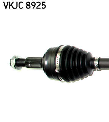 VKJC 8925_2