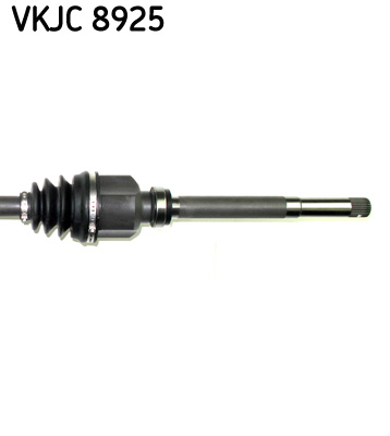 VKJC 8925_3