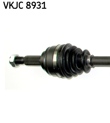 VKJC 8931_2