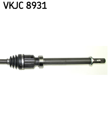 VKJC 8931_3