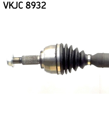VKJC 8932_2