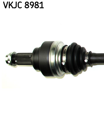 VKJC 8981_2