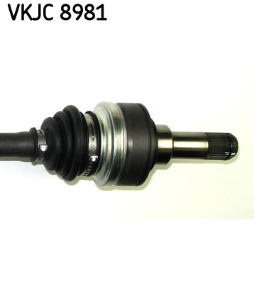 VKJC 8981_3