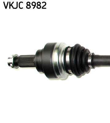 VKJC 8982_2