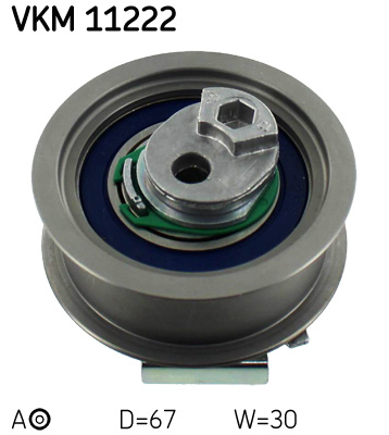 VKM 11222
