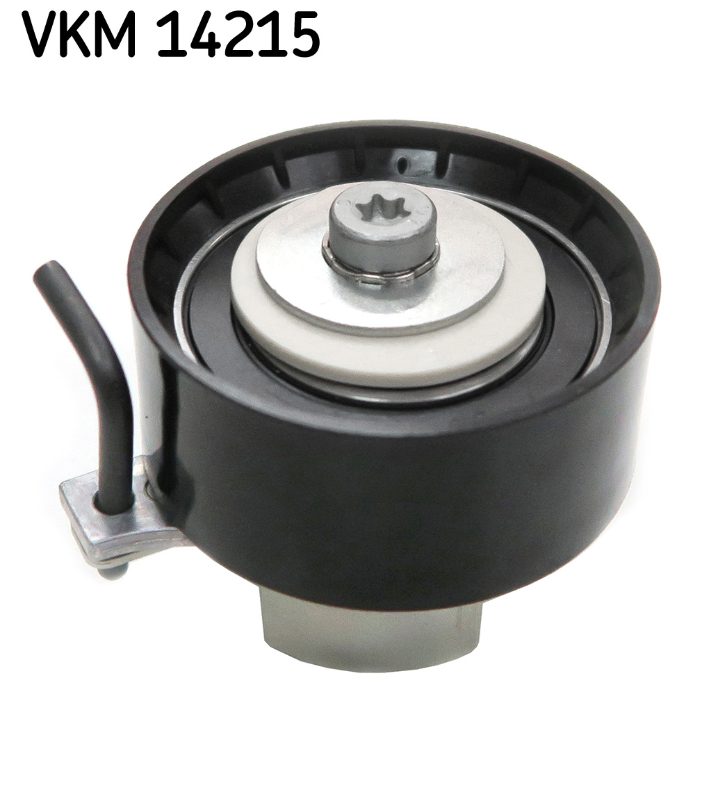 VKM 14215_2